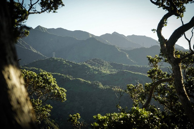 Ilustrasi Borneo Wonderland, sumber foto (Michael Olsen) by unsplash.com