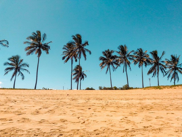 Ilustrasi Pantai di Jambi. Sumber: Pexels/Jean  Frenna