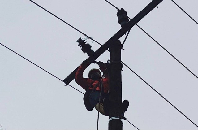 PLN gerak cepat pulihkan kelistrikan di Sumbar setelah gempa Mentawai.  Foto: Dok PLN