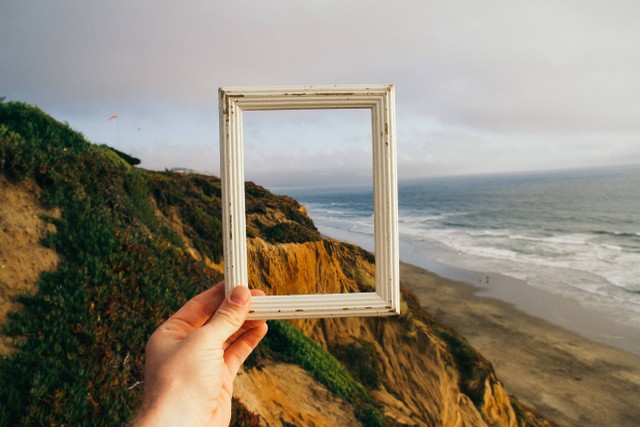 Ilustrasi Cara Hapus Background Foto di HP. Foto: Unsplash/pine watt.