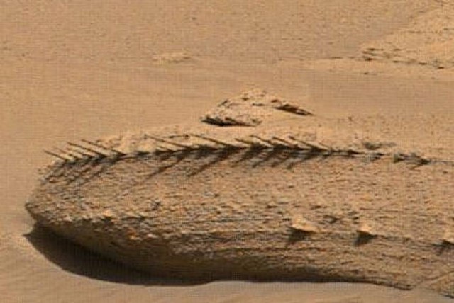 Rover Curiosity menangkap foto batu Mars dengan duri menyerupai tulang naga, di  lembah Gediz Vallis, Mount Sharp pada 21 April 2023. Foto: NASA/JPL-Caltech