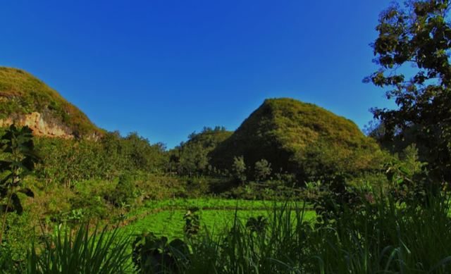 Ilustrasi perbukitan di Gunungkidul. Foto: Gunung Sewu Geopark