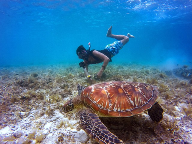 Pantai Gunung Kidul Snorkeling, Foto Hanya Ilustrasi: Pexels/John Cahil Rom