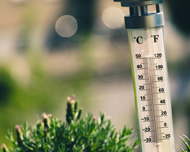 Mengenal Skala Termometer Reamur Celcius Kelvin Dan Fahrenheit Kumparan Com