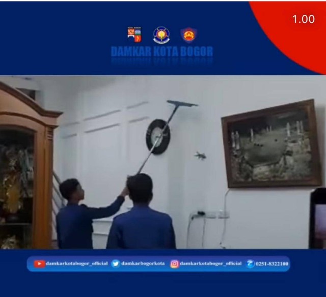 Tokek meresahkan di rumah warga di Kota Bogor ditangani petugas pemadam kebakaran. Foto: Dok. Istimewa