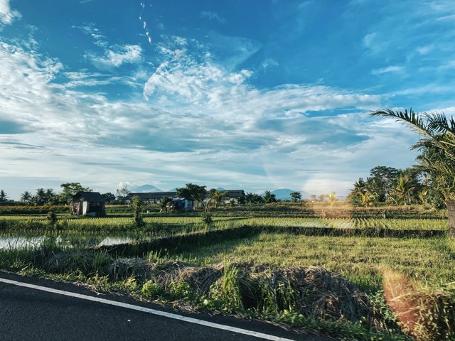 Ilustrasi Julukan Kota Palembang. Foto: dok. Vanessa (Unsplash)