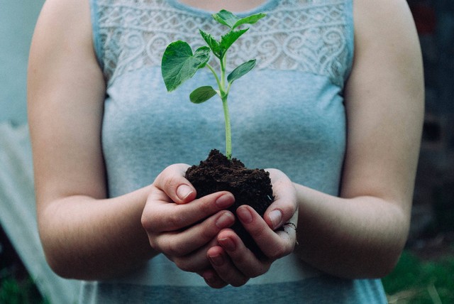 Ilustrasi Cara Menunjukkan Kepedulian terhadap Lingkungan Sekitar. Foto: Unsplash/Nikola Jovanovic