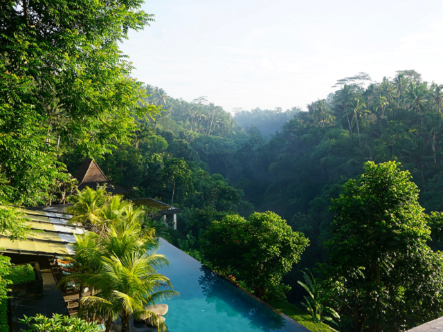 Ilustrasi kolam renang di Ubud. Sumber: JohanSjogren/unsplash.com.