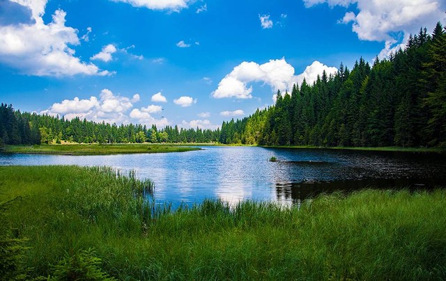 Ilustrasi danau hijau ulubelu. Sumber: www.pexels.com