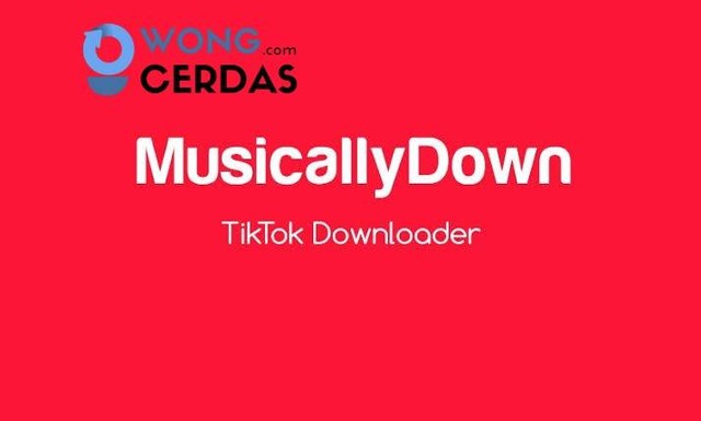 Mudah Sekali! Aplikasi Musically Com Bantu Unduh Video Tiktok Tanpa Watermark