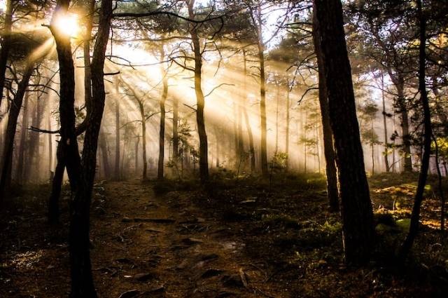 Ilustrasi suku samin dan baduy dapat dijumpai di pulau, sumber foto: Elias Tigiser by pexels.com