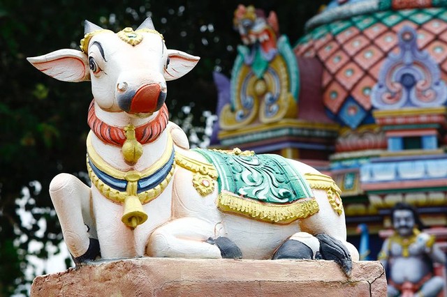 Ilustrasi Alun-Alun Kidul Boyolali. Sumber: www.pexels.com