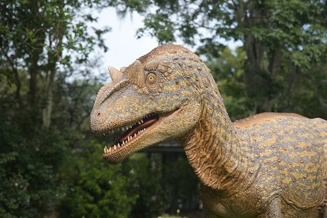 Ilustrasi Predator Fun Park. Sumber: Unsplash/ David Valentine