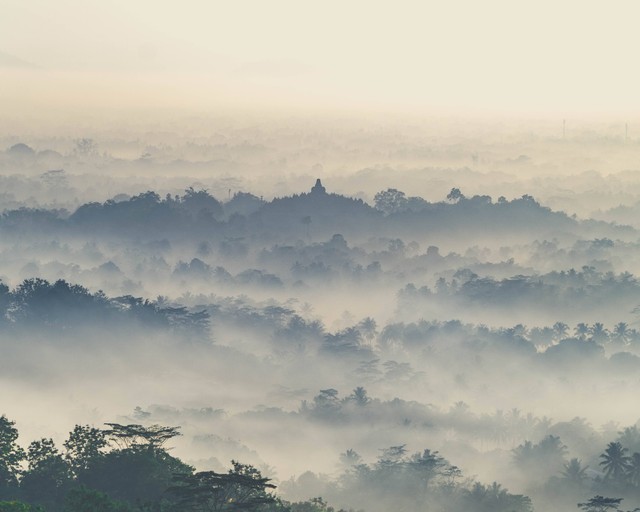 Ilustrasi Peninggalan Kerajaan Pajang. Foto: dok. Sebastian Staines (Unsplash)