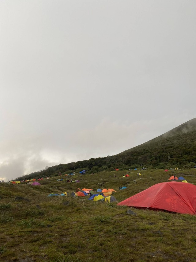 Pendaki berkemah di Alun-alun Surya Kencana, Gunung Gede. [dok.pribadi/deborafelencia]