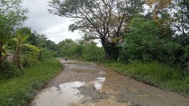 Penampakan kondisi Jalan Taman Nasional Ujung Kulon di Desa Tamanjaya, Kecamatan Sumur, Pandeglang. Foto: kumparan