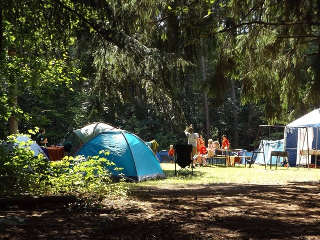 Ilustrasi pengertian camping ground. Foto: pixabay.com/Brahmsee