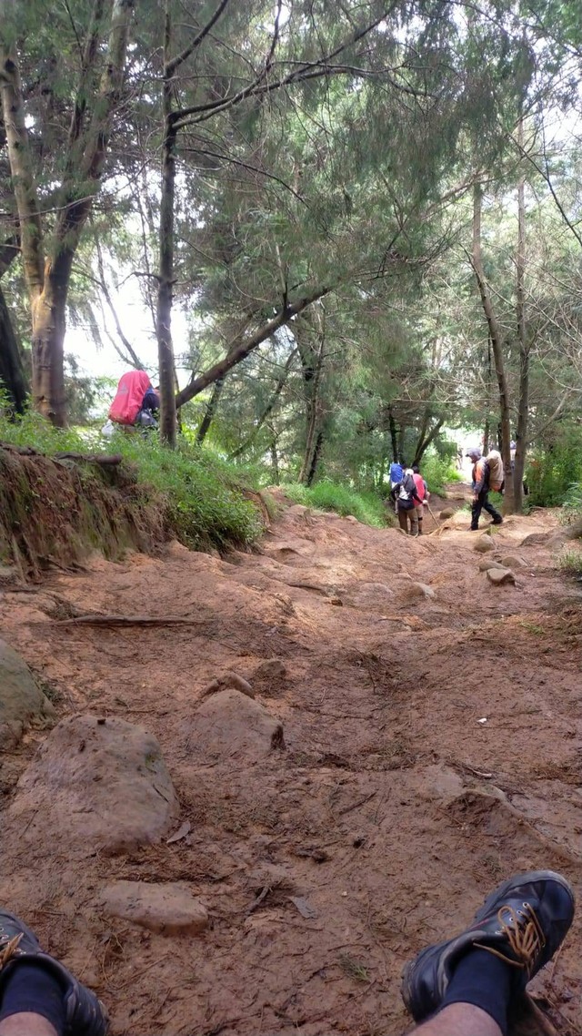 gunung Prau via Patak banteng sumber ; pribadi