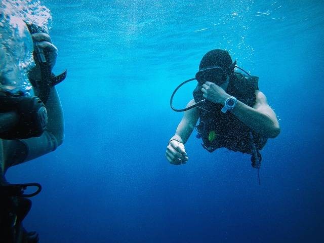 Ilustrasi perbedaan snorkeling dan diving. Sumber: Pixabay/ Pexels-Image