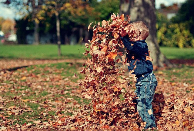 Ilustrasi penyebab anak egois. Sumber foto: Pexels/Scott Webb.