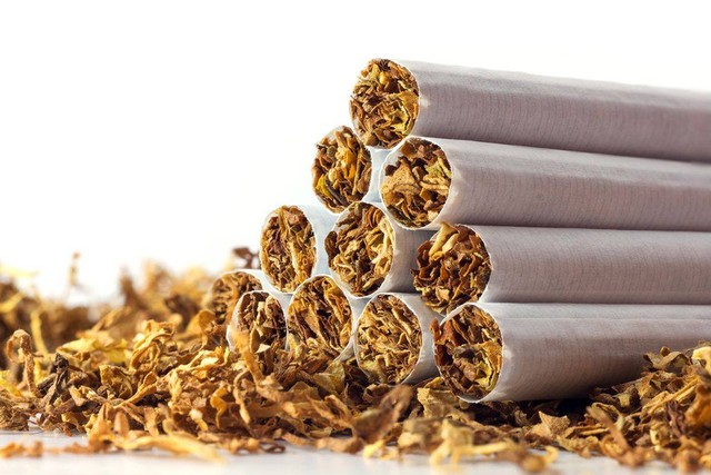 Rokok Tembakau | (SHUTTERSTOCK/Maren Winter)