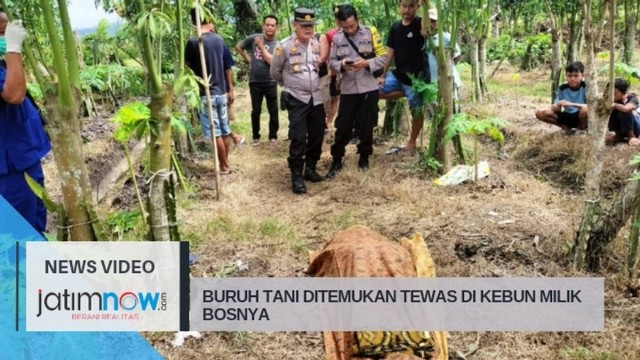 Buruh Tani Ditemukan Tewas Ditengah Kebun Buah Naga