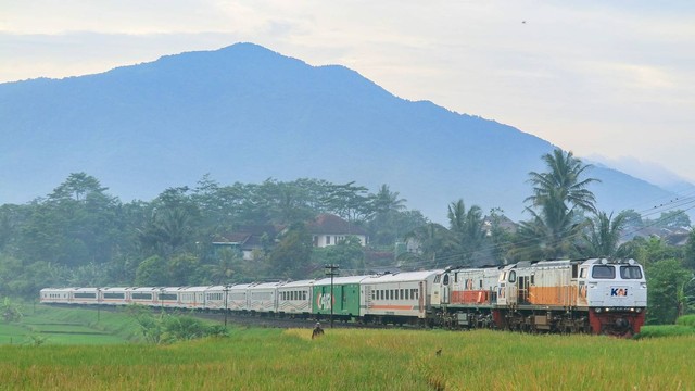 Ilustrasi kereta api. Foto: KAI