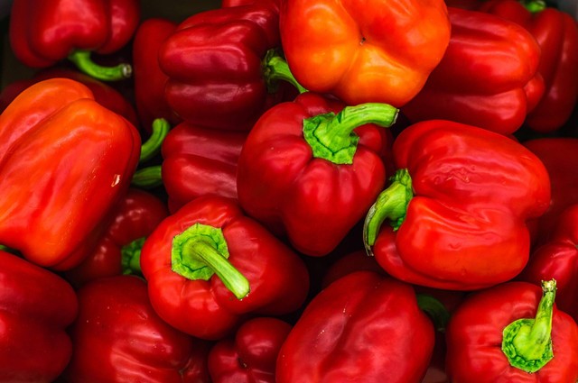Ilustrasi cara menanam paprika. Sumber: Vitolda Klein/unsplash.com