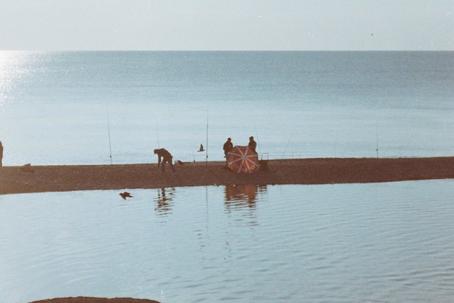 Ilustrasi Tanjung Verde. Sumber : Aysegul Alp/Pexels.com