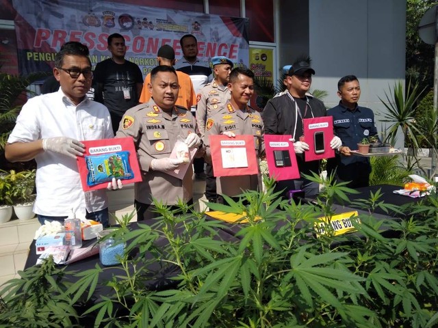 Fotografer di Tangerang ditangkap karena menanam ganja.  Foto: Dok. kumparan