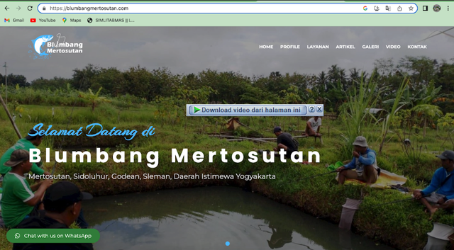 Tampilan website