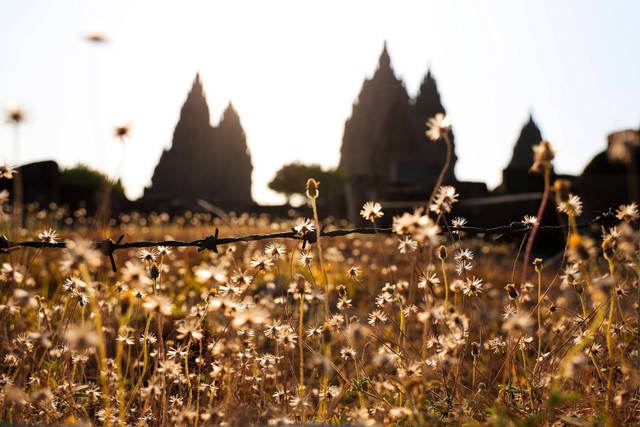 Ilustrasi foto Candi Gedong Songo. Sumber foto: Unsplash