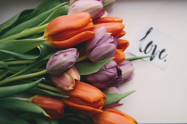 Ilustrasi contoh puisi romantis, Foto oleh Brigitte Tohm di Unsplash