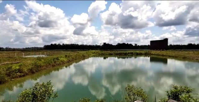 Lokasi tambak PT Arowana Danau Sinau (ADS) Putussibau. Foto: Dok. PLN Kalbar