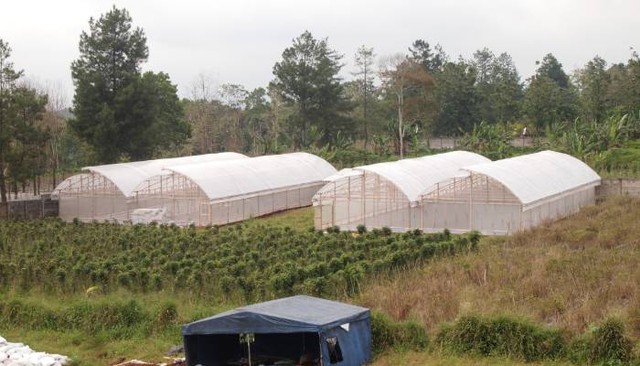 Dompet Dhuafa terus berikhtiar mengoptimalkan potensi tersebut melalui peresmian Program Wakaf Green House Lido yang terletak di komplek Pesantren Tahfidz Green Lido (PTGL), Sukabumi pada Kamis (11/5/2023)