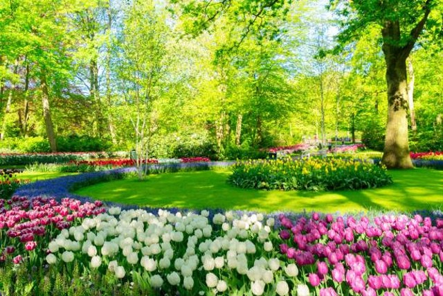 Ilustrasi Jatinangor National Flower Park. Sumber: Pixabay @wiliam