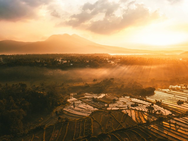 Ilustrasi bagaimana pengaruh iklim terhadap keragaman sosial budaya di Indonesia - Sumber: https://www.pexels.com/id-id/@stijn-dijkstra-1306815/