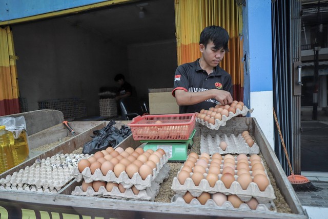 Pekerja menyortir telur di sebuah kios agen telur di Kalibata, Pancoran, Jakarta Selatan, Kamis (18/5/2023). Foto: Jamal Ramadhan/kumparan