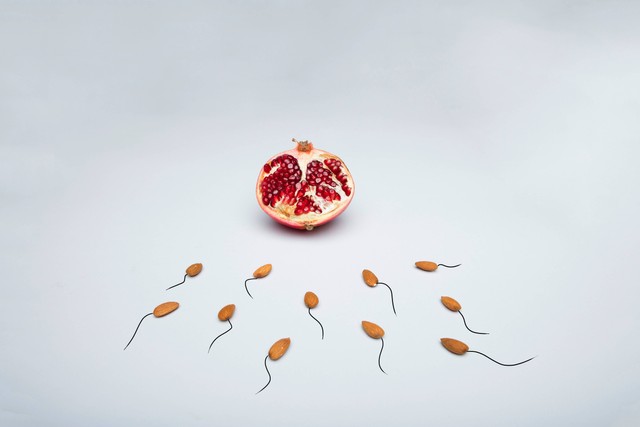 Ilustrasi Penjelasan Proses Spermatogenesis melalui Skema. Foto: dok. Deon Black (Unsplash)