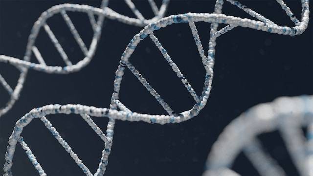 Ilustrasi kromosom DNA dan inti sel yang benar. Foto: Unsplash/Warren Umoh