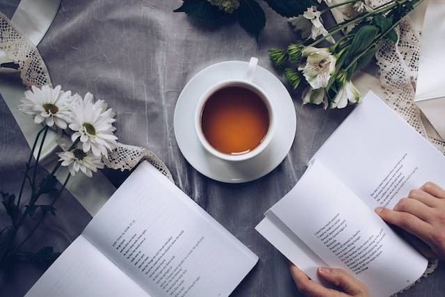 Ilustrasi contoh puisi yang paling indah, Foto oleh Katalog Pemikiran di Unsplash
