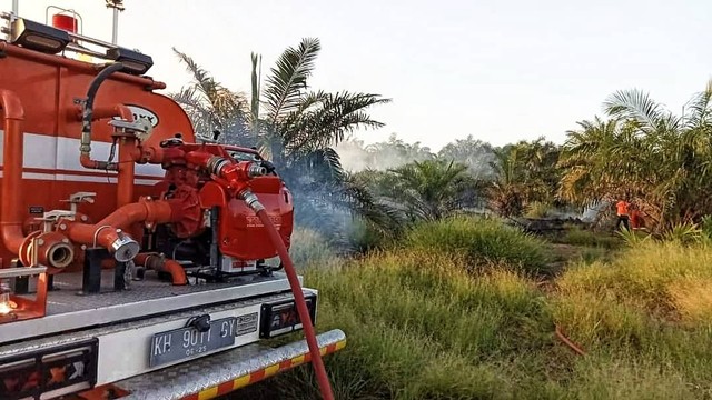 Kebakaran hutan dan lahan (Karhutla) maupun bencana kekeringan merupakan 2 hal yang patut diwaspadai saat fenomena El Nino terjadi di wilayah Kotawaringin Barat. Foto: Ist/InfoPBUN