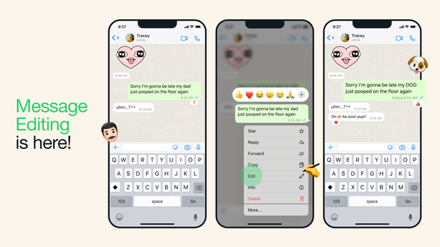 WhatsApp kini bisa edit chat. Foto: WhatsApp