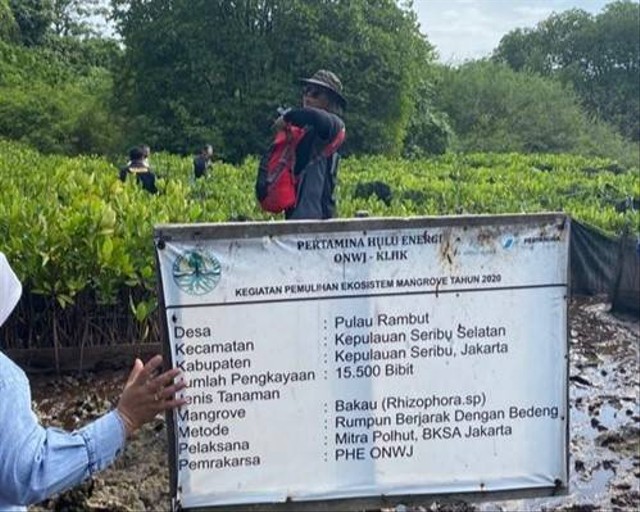 Prof Hefni Verifikasi Keberhasilan Penanaman 52 ribu Mangrove oleh PHE ONWJ