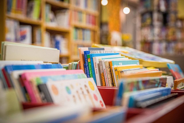 Ilustrasi sususan buku di sebuah toko buku. Sumber gambar: Pixabay.com