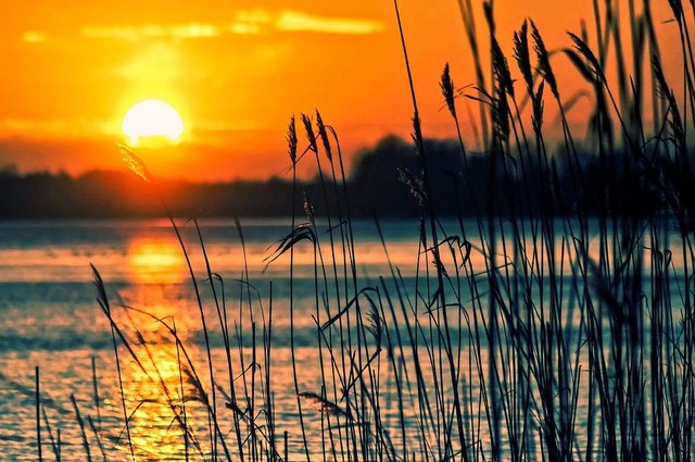 Ilustrasi caption sunset singkat - Sumber: https://pixabay.com/id/users/tommarc-890614/