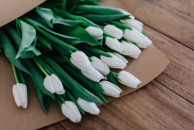 Ilustrasi Gombalan Bunga Tulip, sumber foto (Roman Kraft) by unsplash.com