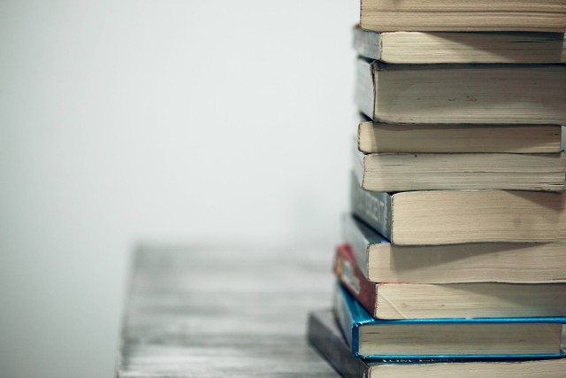 Ilustrasi Contoh Soal Teks Biografi Kelas 10. Foto: dok. Alexander Grey (Unsplash)