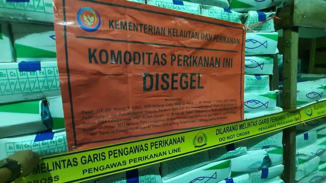 KKP menyegel 971 kotak tak berisi 9,7 ton ikan salem beku impor di Pontianak. Foto: Dok Hi!Pontianak  