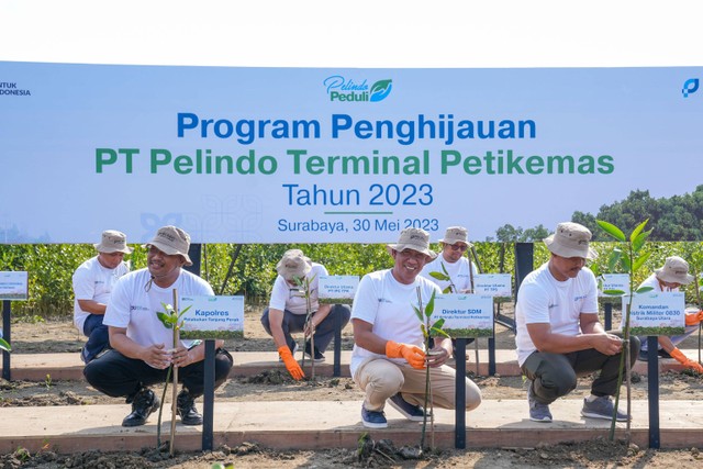 Direktur SDM PT Pelindo Terminal Petikemas, Ady Sutrisno, bersama stakeholder Pelabuhan Tanjung Perak saat menanam mangrove di Surabaya (30/5). Foto: dok. Pelindo